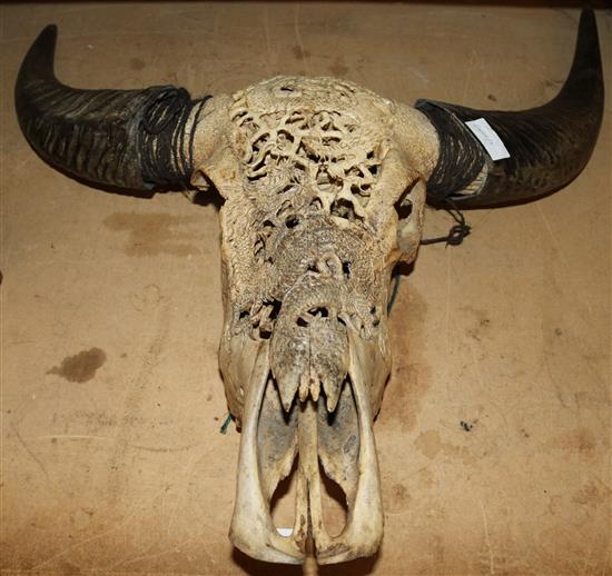 Carved buffalo skull